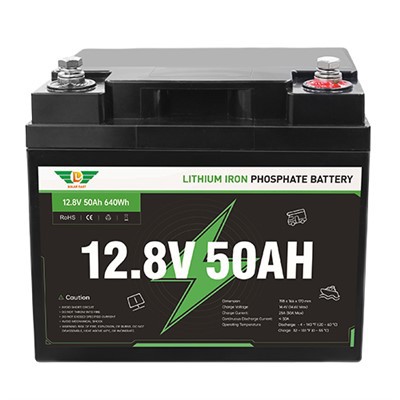 Apakah perlu menggunakan sistem manajemen baterai (BMS) dengan baterai lithium Caravan?